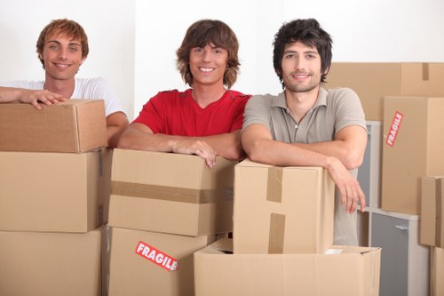 Comprehensive packing services with labeled boxes