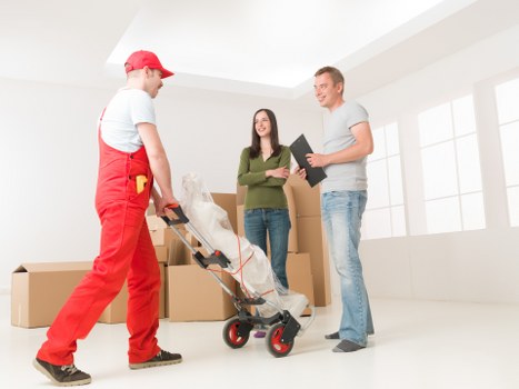 Variety of removal trucks available for hire